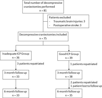 Intracranial Pressure as an Objective Biomarker of Decompression Adequacy in Large Territory Infarction: A Multicenter Observational Study